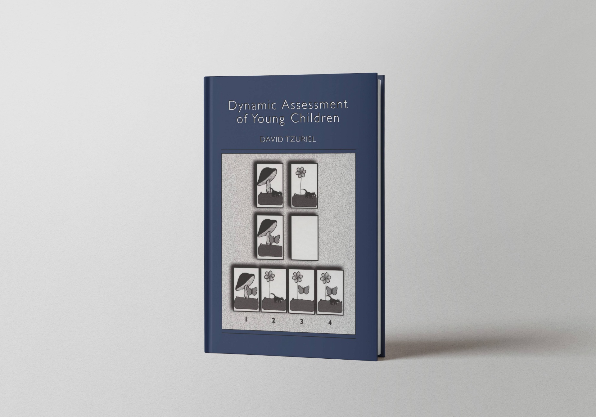 Dynamic Assessment of Young Children
