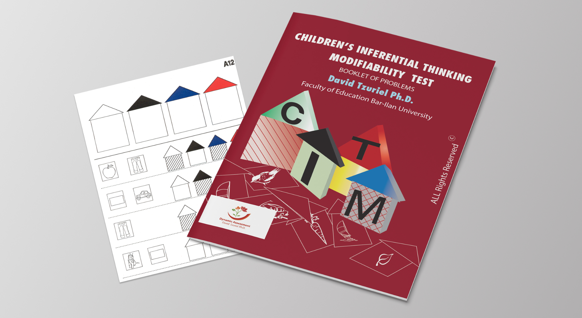 Children's Inferential Thinking Modifiability (CITM)